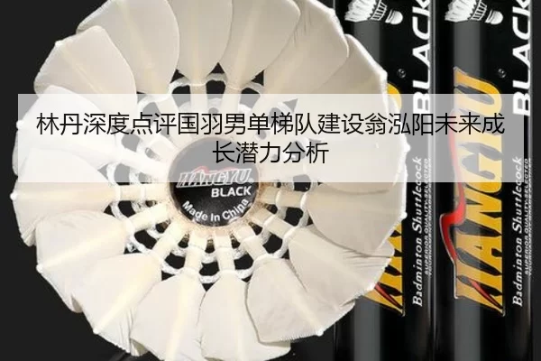 林丹深度点评国羽男单梯队建设翁泓阳未来成长潜力分析